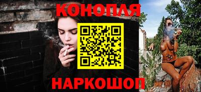 гашик Бердск