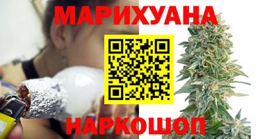 гашик Бердск