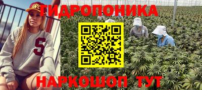 гашик Бердск