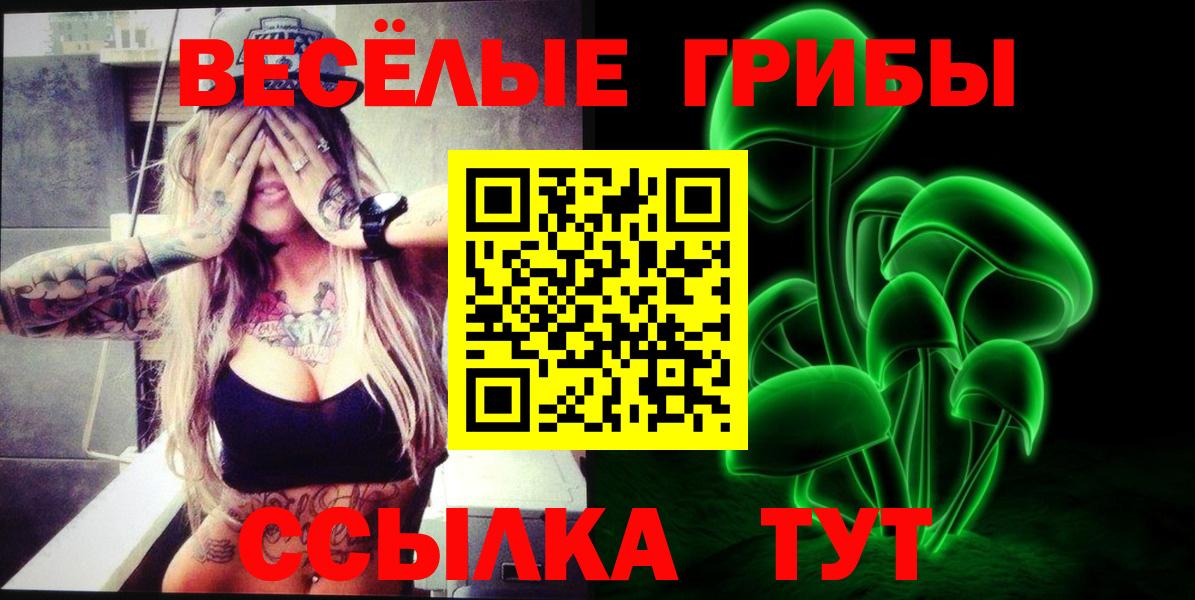 Галлюциногенные грибы Magic Shrooms  Вход с VPN  Анжеро-Судженск 